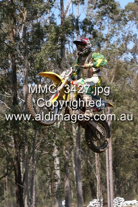 445x677 pixels (95K)